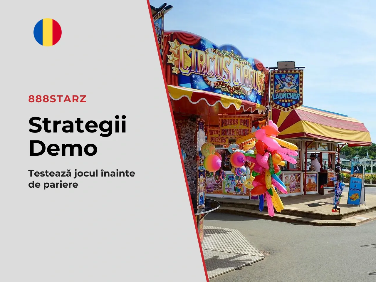 Concluzie ce faci mai departe. Rezumatul