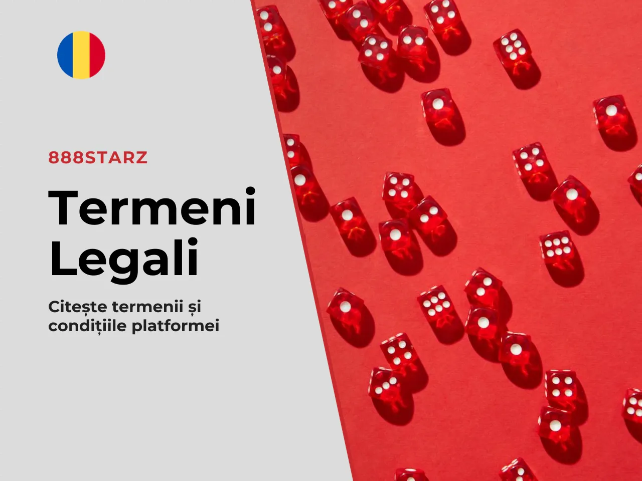 Confidențialitate, condiții și user reviews. Înainte
